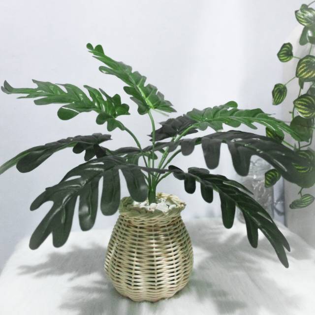 Philodendron artificial pot rotan Tanaman artificial Philodendron artificial pot rotan Tanaman artificial