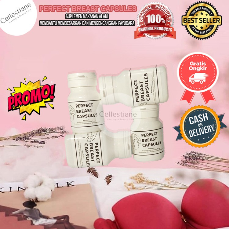 PERFECT BREAST CAPSULES SUPLEMEN MAKANAN ALAMI MEMBANTU PEMBESAR DAN PENGENCANG PAYUDARA TERBAIK