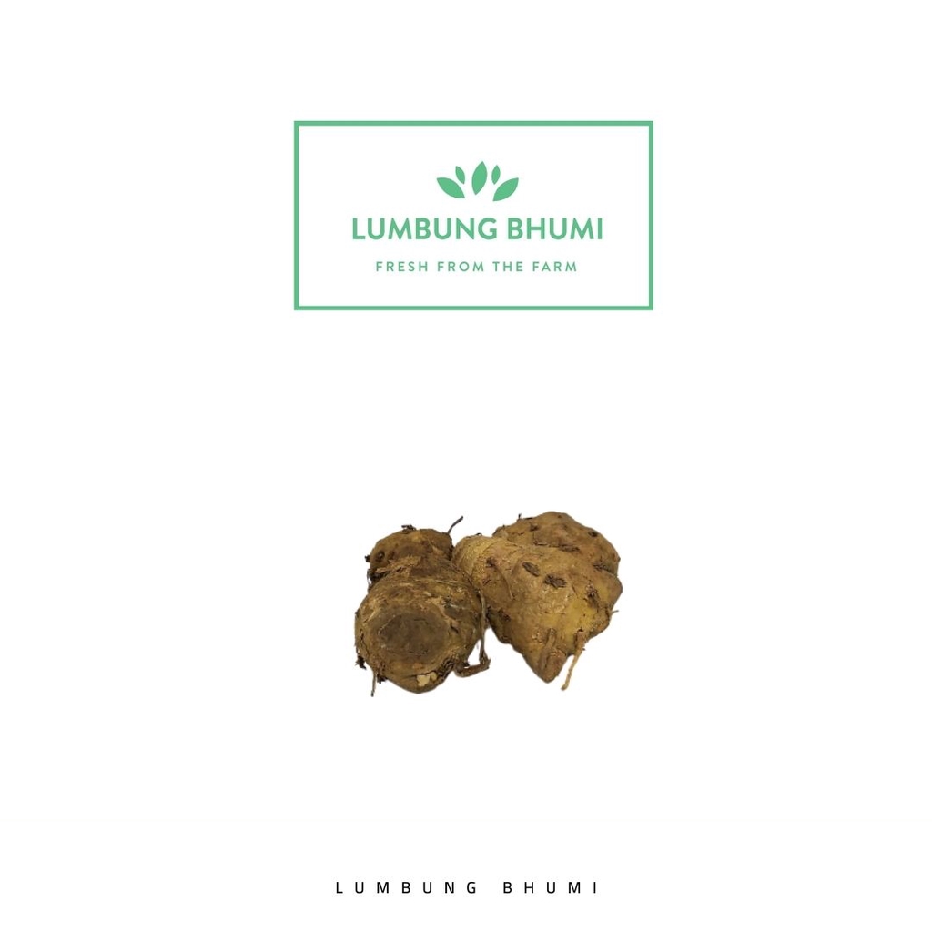 

Lumbung Bhumi - Biang Kunyit 500 Gr ( Sayur Curah )