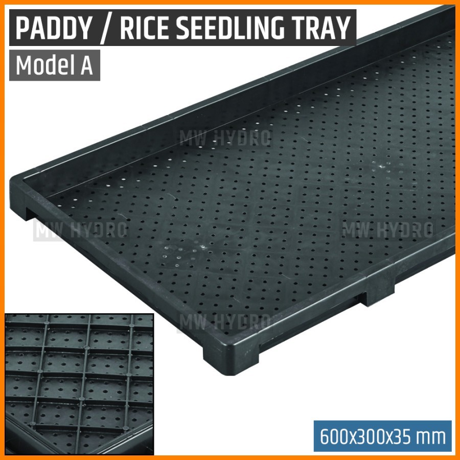 Paddy / Rice Seedling Tray, Tray Semai Bibit Padi / Microgreen - A