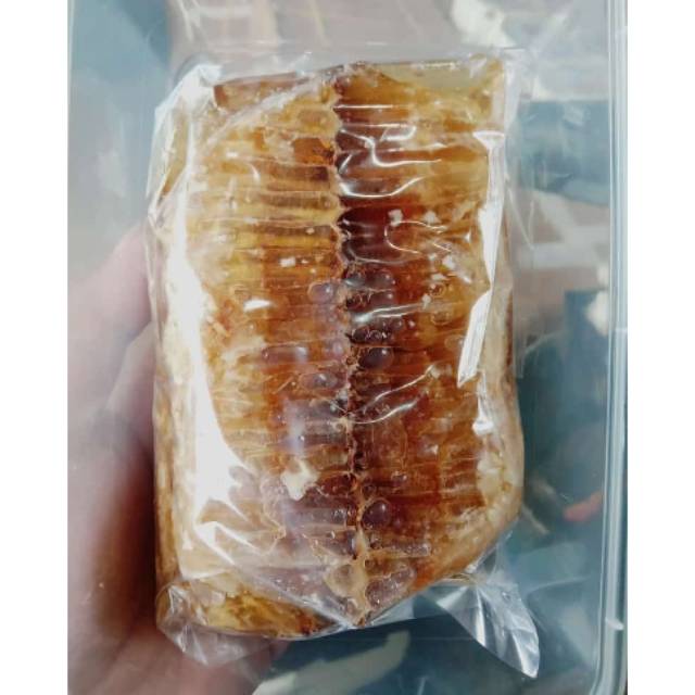 

Sarang Madu Chunk Honey Odeng Apis Dorsata 100% Asli ORIGINAL