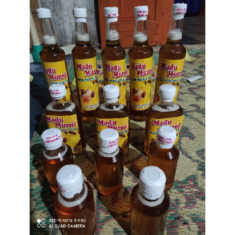 

madu tawon hutan garansi murni dan asli