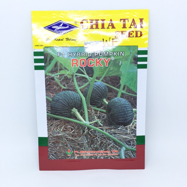 Waluh Peringgi Rocky