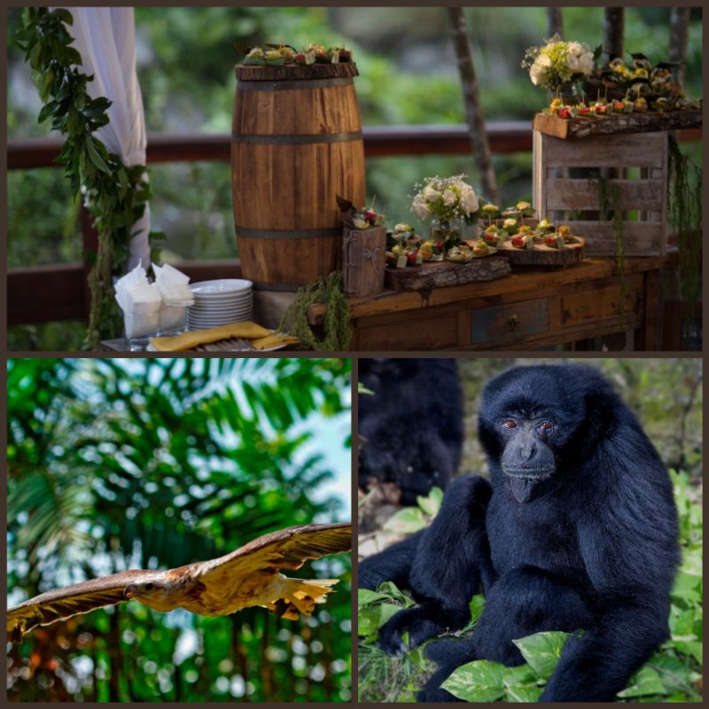 Voucher Tiket Bali Zoo Park Singapadu