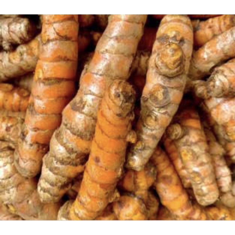 

KUNYIT SUPER AB/1kg/kunyit segar termurah