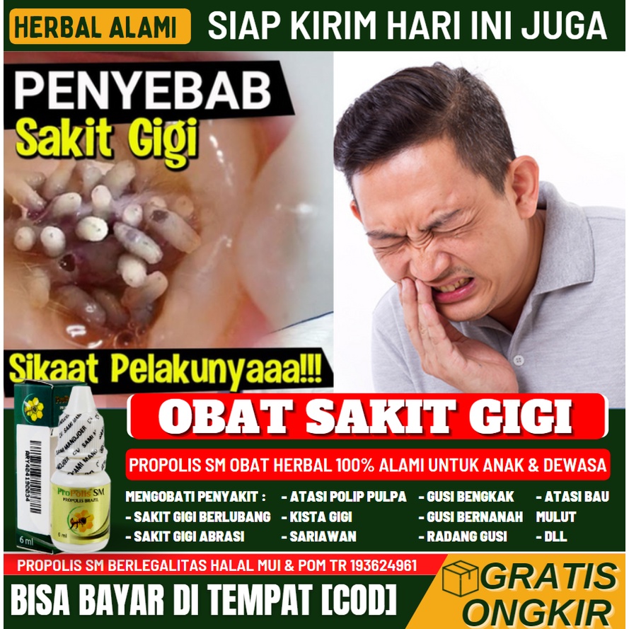 Obat Alami Pembasmi Cacing Di Gigi Berlubang Obat Sakit Gigi Gigi Ngilu Gigi Abrasi Propolis Sm Shopee Indonesia