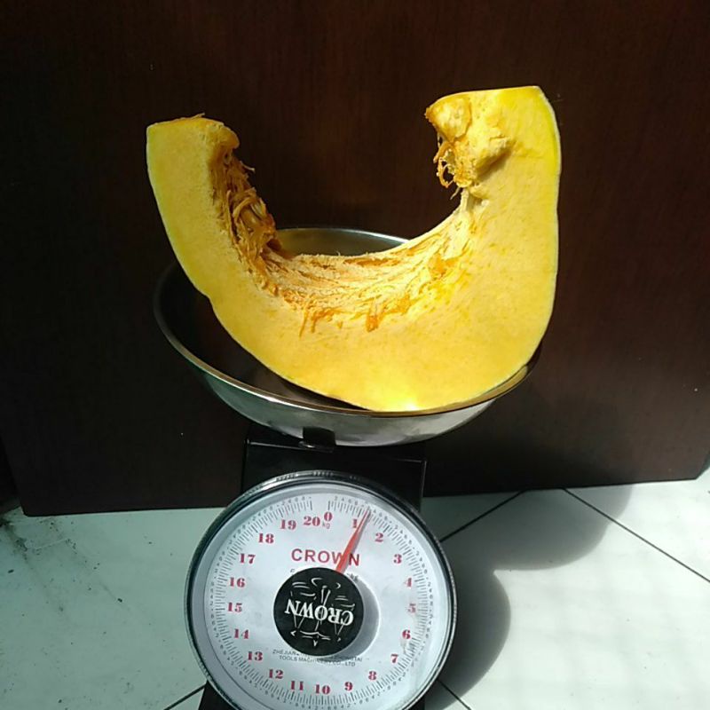 

Labu Waluh kolak manis