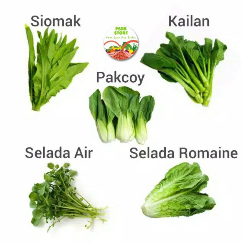 PASAR GUBENG - Sayur Segar - Selada Air / Selada Romaine / Siomak/ Pakcoy/Kailan - Pack