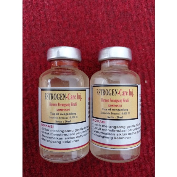 ESTROGEN pemacu birahi hewan betina