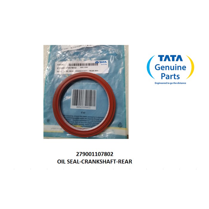 OIL SEAL-CRANKSHAFT-REAR