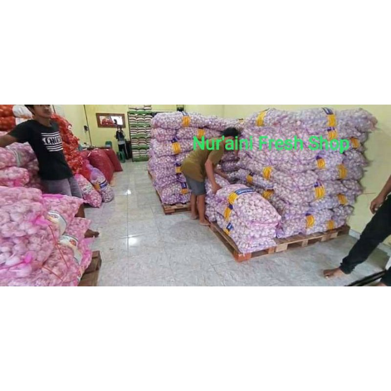 

Bawang Putih Sinco Murah Lebay