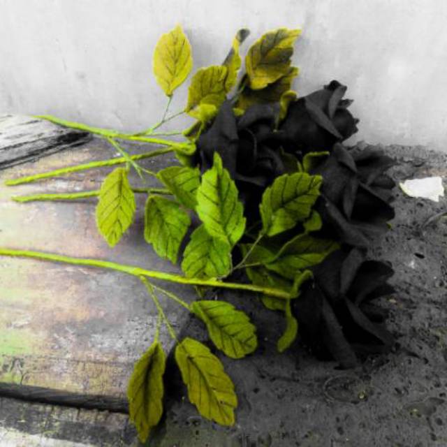 Mawar hitam buatan