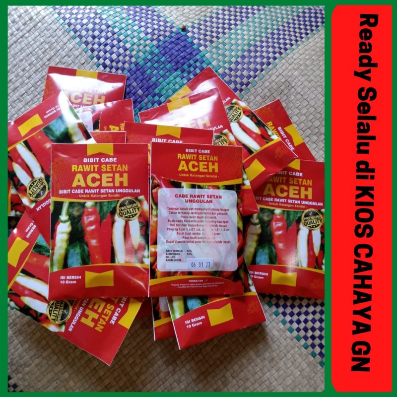 Benih Cabe Rawit Setan Aceh| Cahaya GN