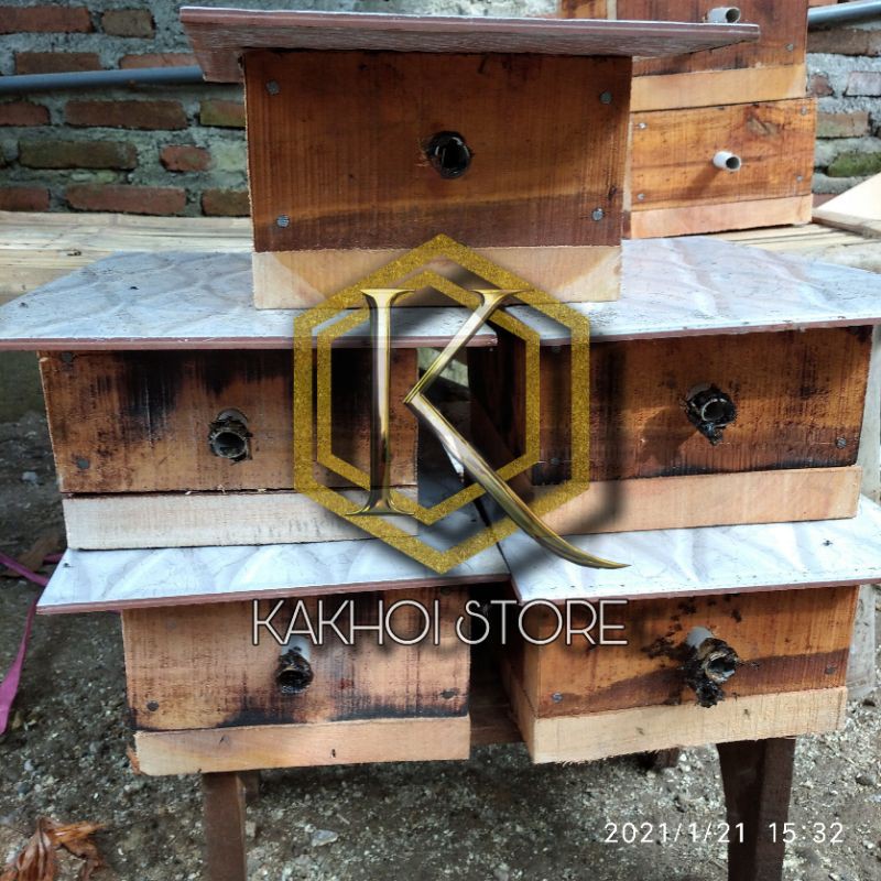 Sarang bibit lebah klanceng / trigona super leaviceps