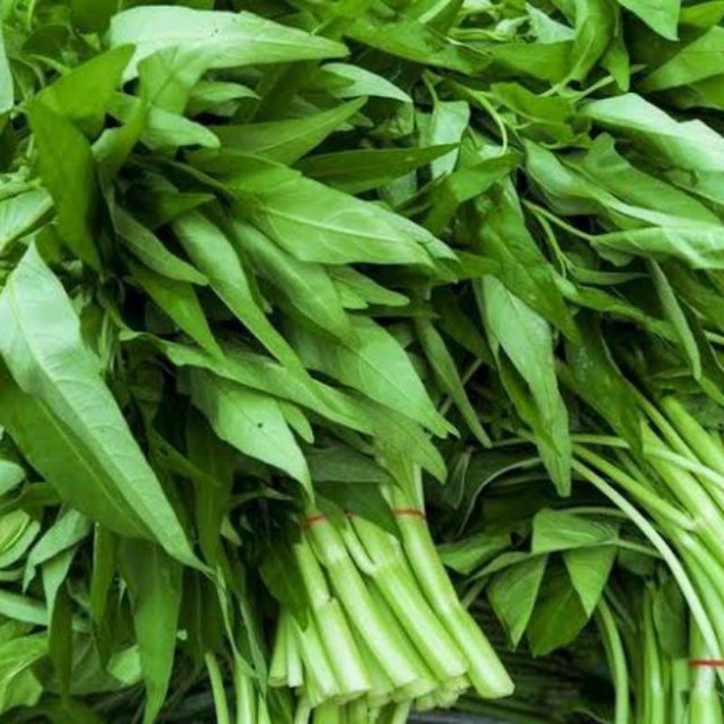 

Kangkung fresh 1 ikat