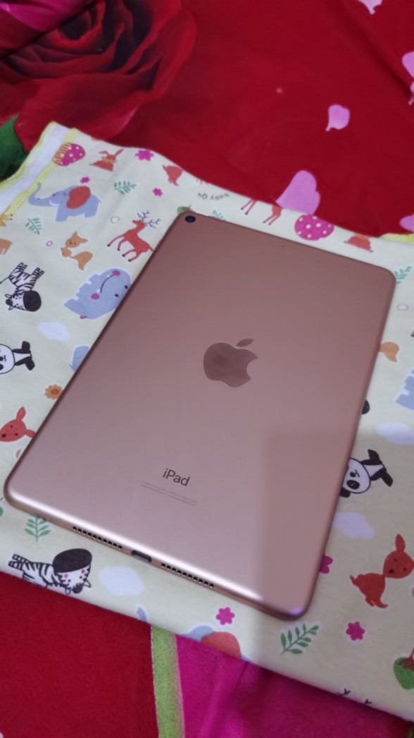 IPAD MINI 5 2019 64GB / 64 WIF   I ONLY SPACE GOLD | Shopee