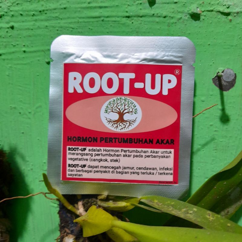 Root Up pupuk perangsang pertumbuhan akar