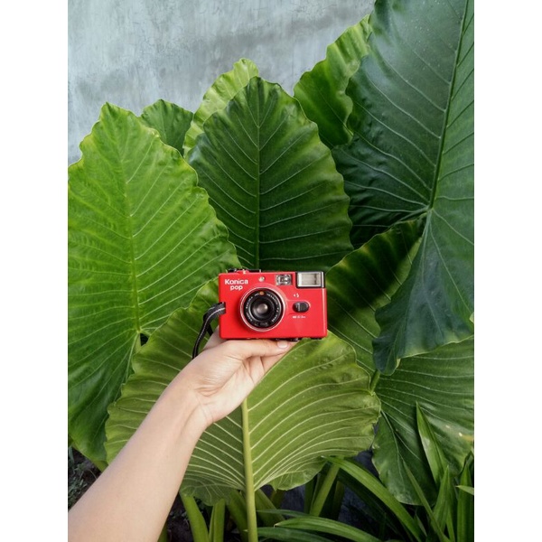 KAMERA ANALOG KONICA POP (RED EDITION)