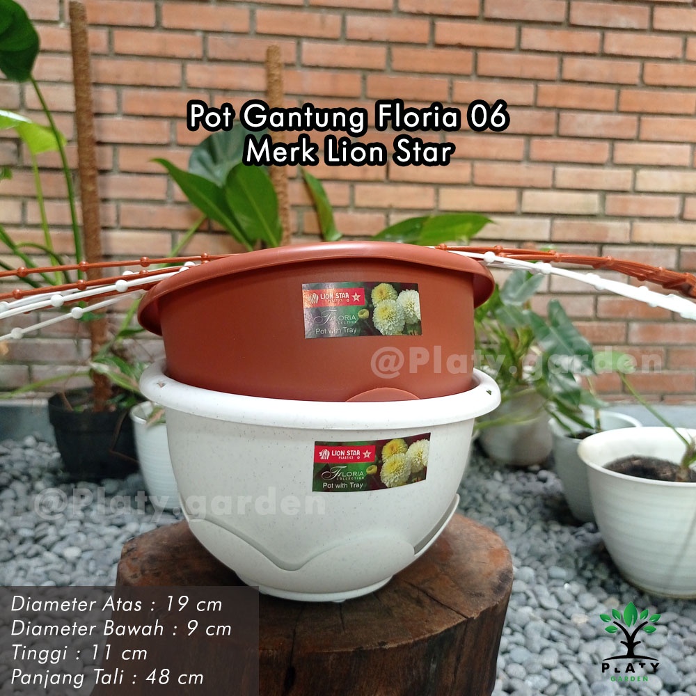 Pot Gantung Gardenia | Pot Gantung Lion Star | Pot Gantung Putih &amp; Terracotta