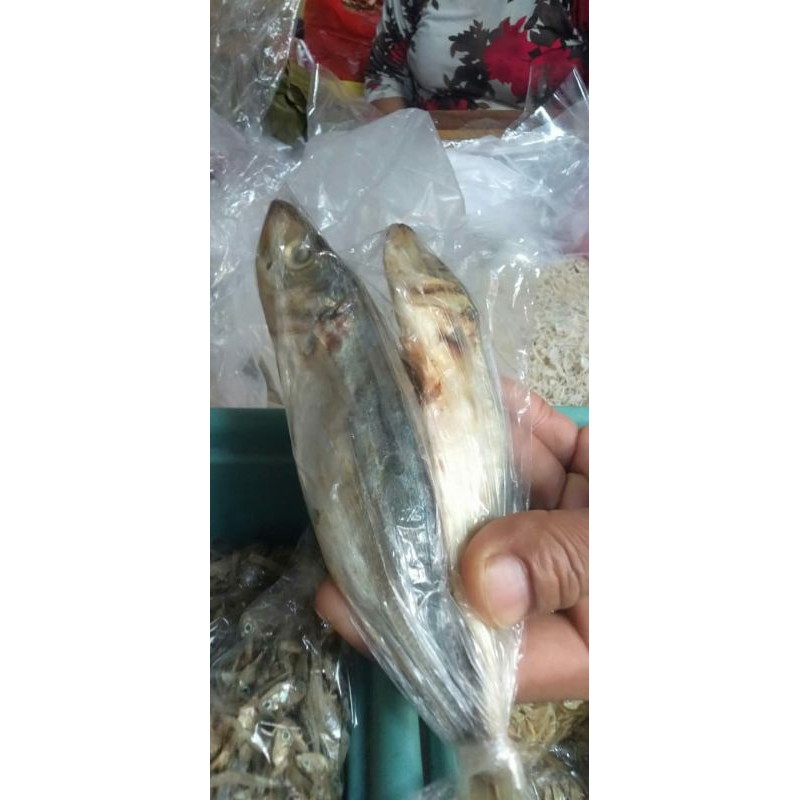 

ikan peda asin