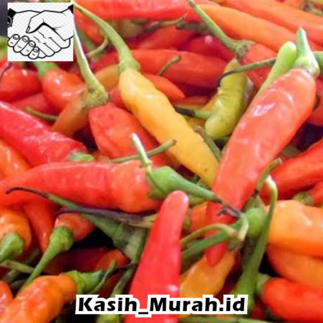 

CABAI RAWIT SETAN / RAWIT MERAH