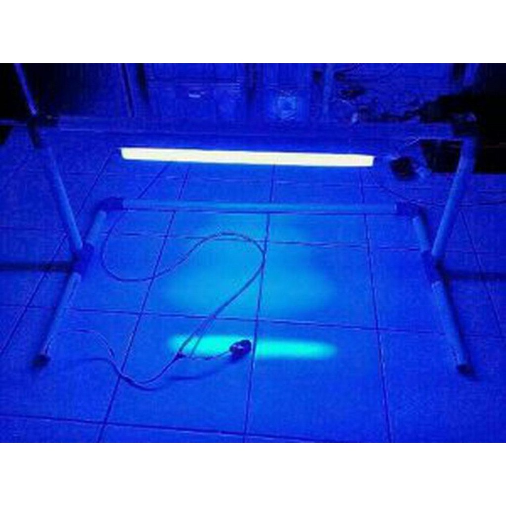 Lampu TL Buat BAYI Blue Light 20w 20 watt Philips Baru sport