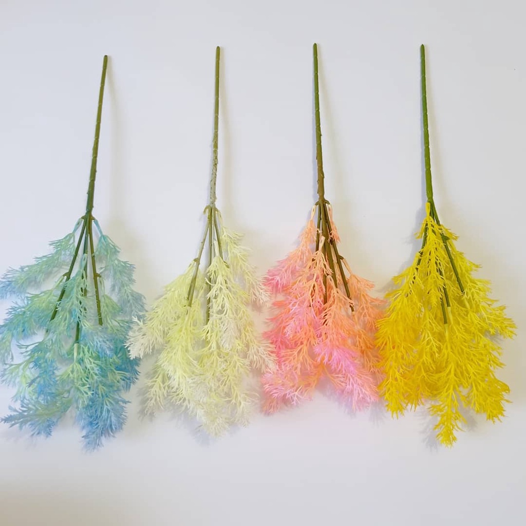 Tanaman Rumput Laut 2068