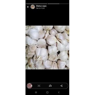 

bawang putih