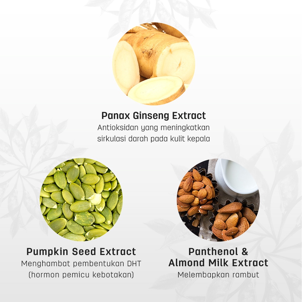 ERHAIR HairGrow Shampoo with Panax Ginseng & Pumpkin Seed Extract 370 ml - Shampoo Rambut Rontok-3