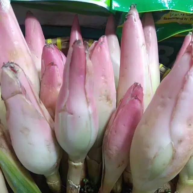 

Kincung /kecombrang ,berat 1kg