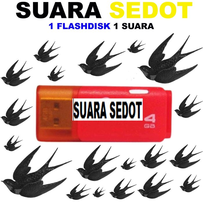 SUARA BURUNG WALET KALIMANTAN 5 FLASHDISK masing masing 4gb