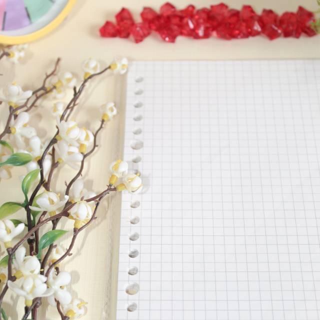 

Loose Leaf A5 Grid (kotak-kotak)