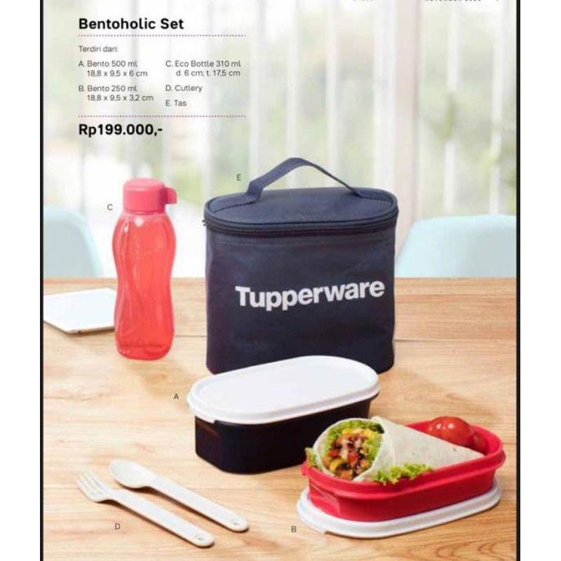 bentoholic set tupperware