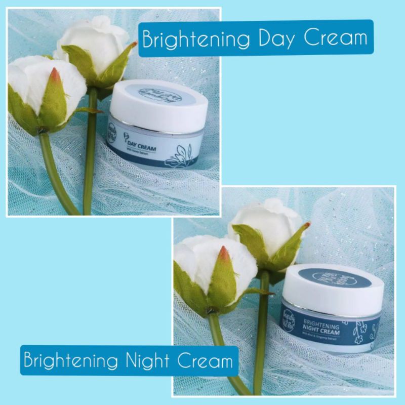 Beauty In The Pot Skincare ~ Paket Brightening Day & Night Cream