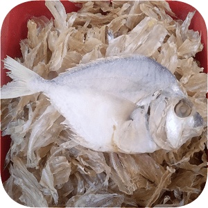 

Ikan Asin Petek 100 g