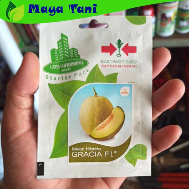 Benih Melon HIBRIDA GRACIA F1 Panah Merah