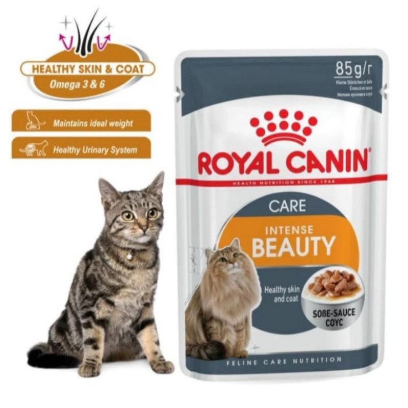 Cat Food Royal Canin Intense Beauty Gravy ( 1 Box 12pcs) Pouch Sachet wetfood