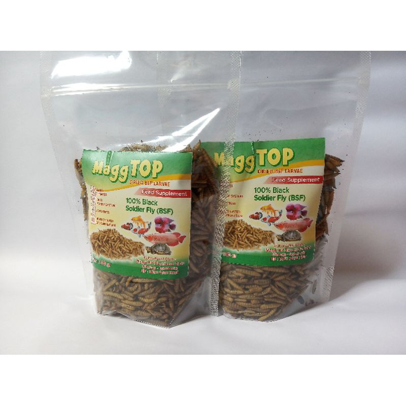 Maggot bsf kering MaggTop Dried BSF Larvae Maggot bsf