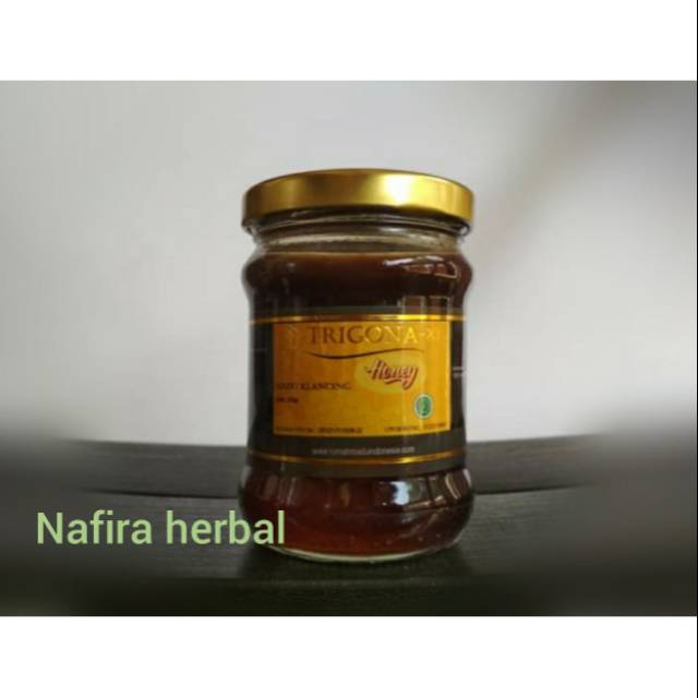 

Madu trigona, madu klanceng