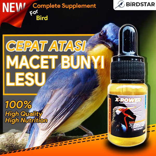 PIOONERVET - PROMO X-POWER OBAT VITAMIN BURUNG LOVEBIRD KENARI KACER JALAK SUREN MURAI BATU PLECI