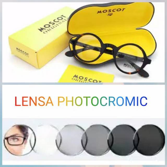 Frame kacamata moscot zolman