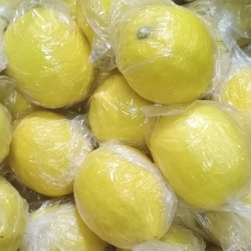 Jeruk Lemon Import Asli Segar 1 kg / Buah Impor Fresh