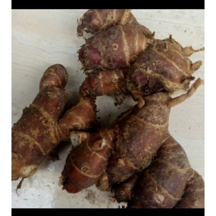 

kunir segar per 100gram