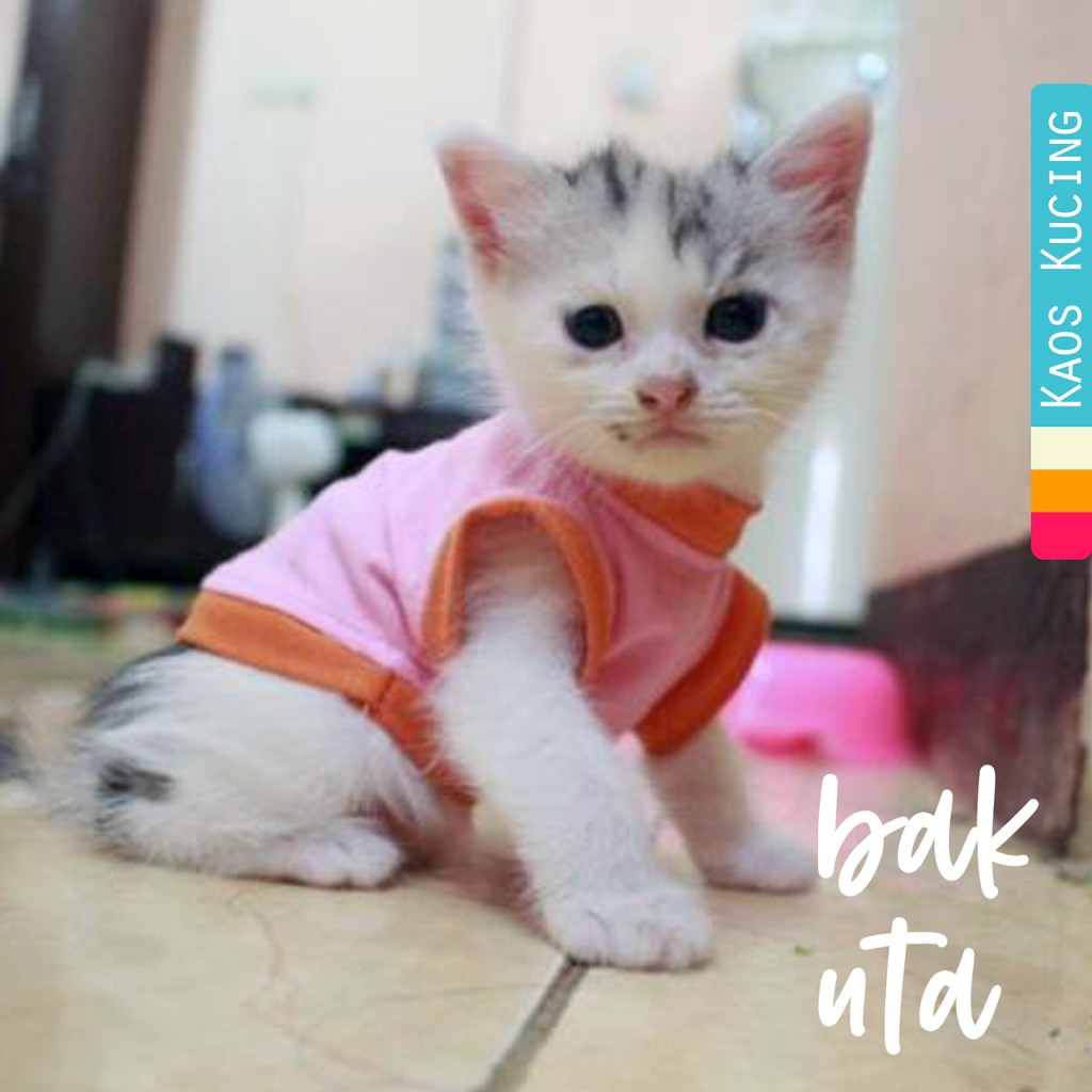 Kaos lucu warna baby pink untuk kucing &amp; anjing /Jual Baju Kucing Terlengkap &amp; Berkualitas size S-XL