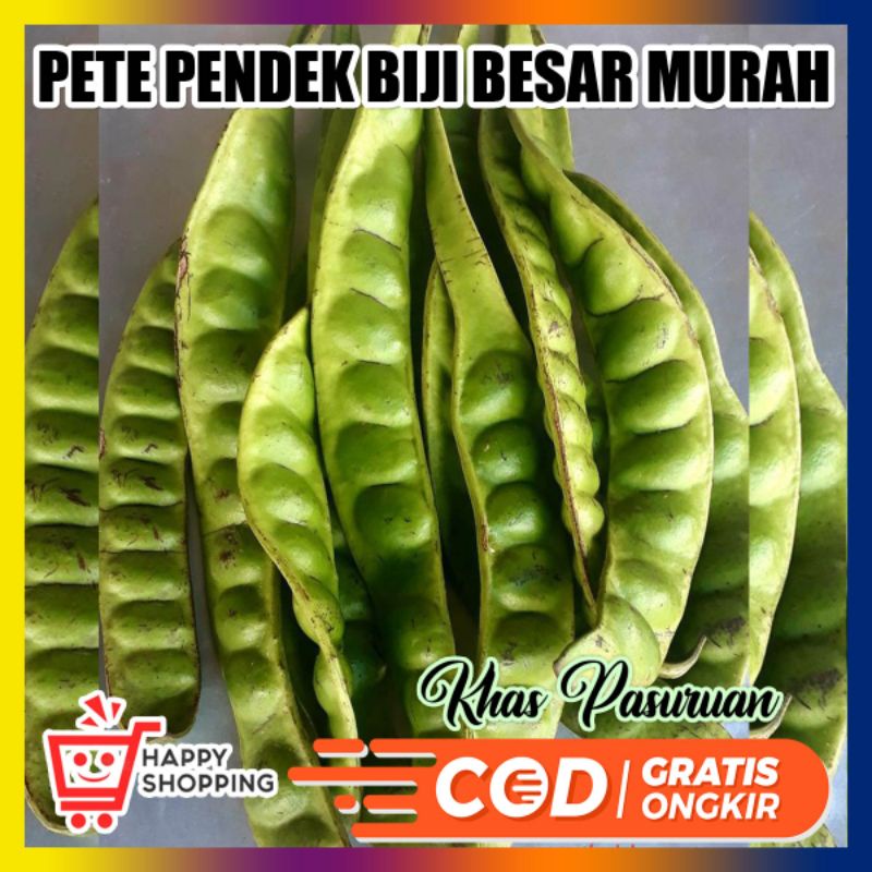 pete jawa fresh pndek 1 papan isi 8-13 biji mata