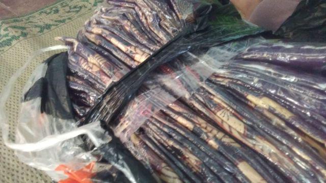 Bswart Batik Hrb026 Kenongo Hem Pendek Padi Pekalongan  M L Xl Batik Pria Murah Batik Lengan Panjang