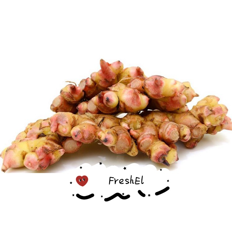 

FreshEl - JAHE MERAH