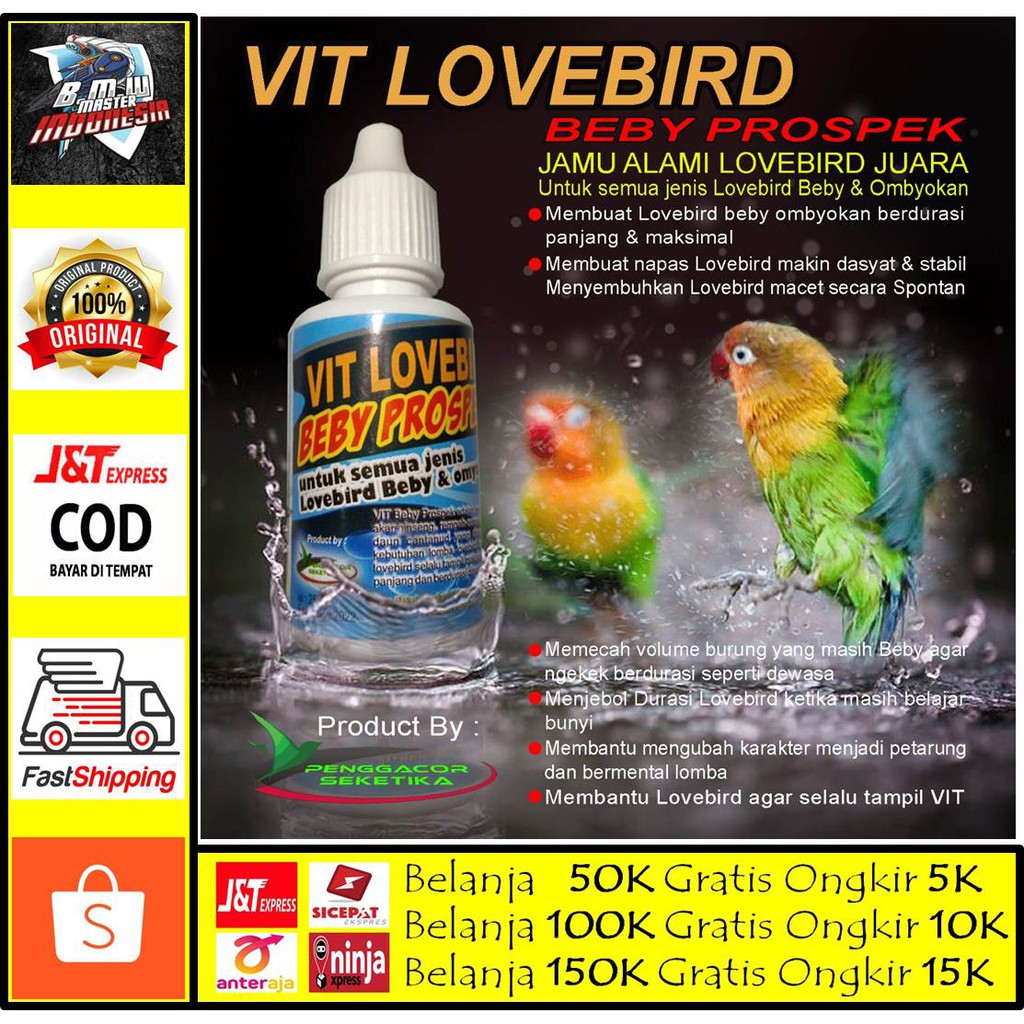 Vitamin Burung Lovebird Beby Prospek Untuk Semua Lovebird Beby dan Omyokan