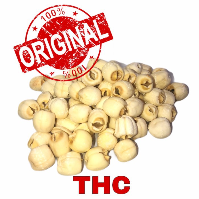 

Terlaris Original Asli BIJI TERATAI/ PREMIUM LOTUS/ LIAN ZI/ LOTUS SEED 100gr (GOOD QUALITY) paling