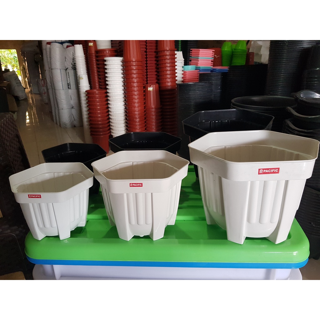 Pot Bunga Kotak | Pot Tanaman Bunga Segi | Pot Hexa Putih